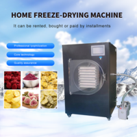 Mini Small Freeze Drying Machine Large Food Vegetable Fruit Home Homemade Household Laboratory Freez