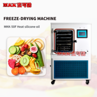 MKK Automatic capping type Scientific Pilot Freezer Dryer Equipment Large