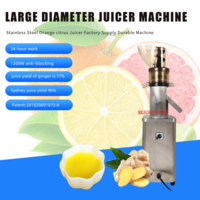 1200W Multi-function household small size separation of slag juice large diameter slow speed juicer